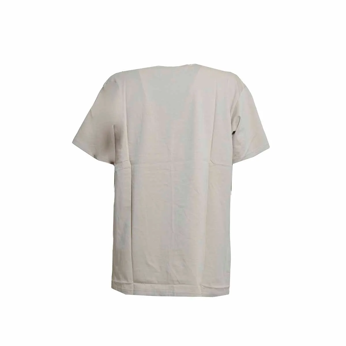 T-shirt in cotone beige Script Embroidery Carhartt